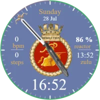 5W016 Resolution Class Watch